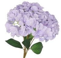 product-compare-61699780