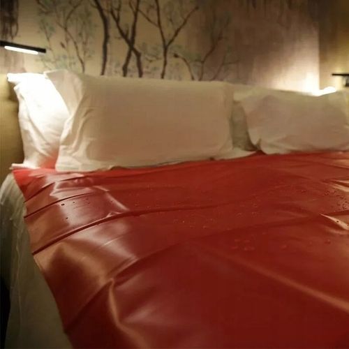 WINYLOWE PRZEŚCIERADŁO - RÓŻNE KOLORY 200X230 cm na Arena.pl