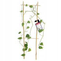 Drabinka Bambusowa Podpora Pnączy Podwójna 45cm