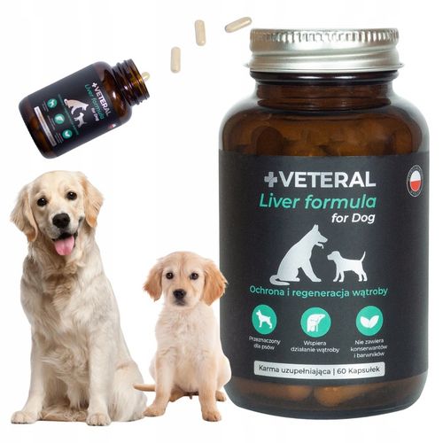 VETERAL SUPLEMENT NA WSPARCIE WĄTROBY DLA PSA suplement na wątrobę na Arena.pl