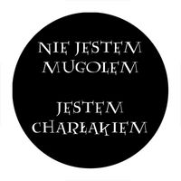 Przypinka Harry Potter