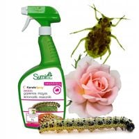 KARATE GOTOWY SPRAY OWADOBÓJCZY NA MSZYCE STONKĘ SZKODNIKI WCIORNASTKI 1L