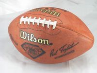 FOTOTAPETA PIŁKARSKA AMERYKAŃSKI FOOTBALL 395x280