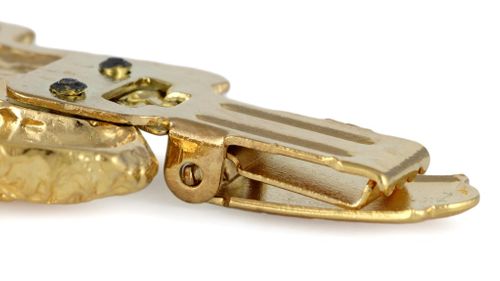 Cocker Spaniel Angielski - klips - 1036 na Arena.pl