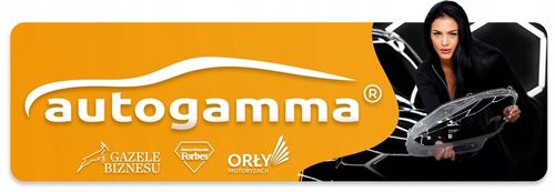 Klosz szkło do reflektora, lamp Skoda Superb 2 II (08-13) Lewy na Arena.pl