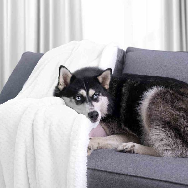 BLA/AH/SHLEEPY/WHITE/70X150 zdjęcie 12