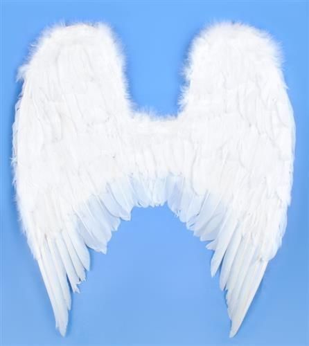 Skrzydła Anioła na Arena.pl