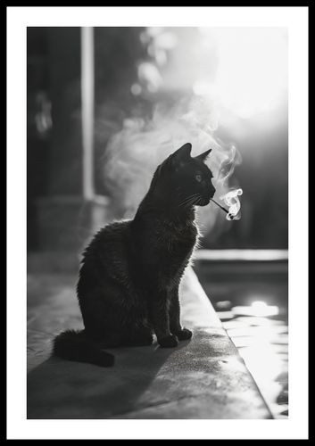 Plakat 40x60cm Kocia Przerwa na Arena.pl