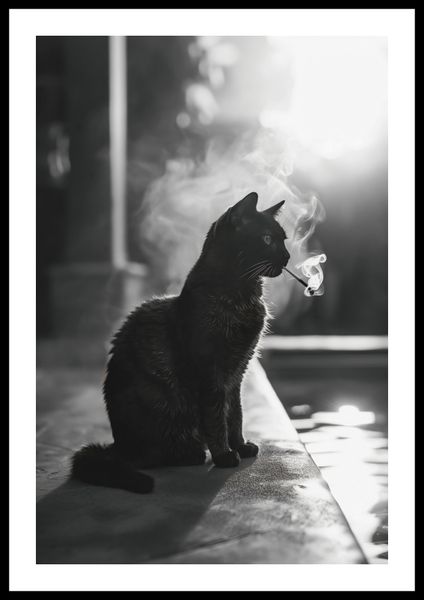 Plakat 40x60cm Kocia Przerwa zdjęcie 3