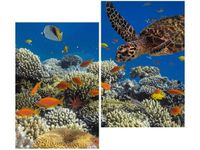80X70CM OBRAZ PODWODNA NATURA DUO OBRAZ