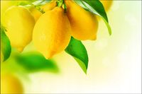 Tło FLAT LAY do fotografii produktowej kulinarnej