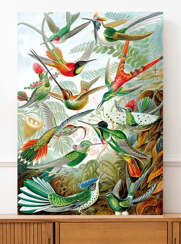 Plakat rajskie ptaki kompozycja 21x29,7 cm A4 na Arena.pl