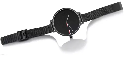 ZEGAREK DAMSKI TOMMY HILFIGER 1782160 ALEXA zf545d na Arena.pl