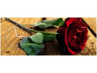 product-compare-58616731