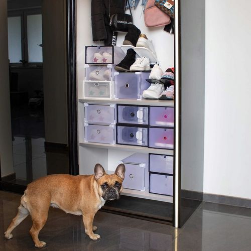 ZESTAW 10 PUDEŁEK POJEMNIKI ORGANIZER BUTY WYSUWANE DO SZAFY na Arena.pl