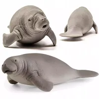 Wild Life. SLH14839. Manat