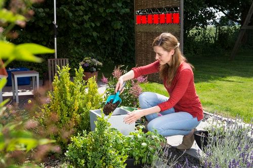 łopatka do kwiatów duża - hg-08953-20 na Arena.pl