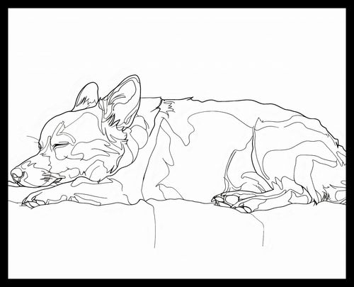 Plakat 50x40cm Śpiący Psiak na Arena.pl