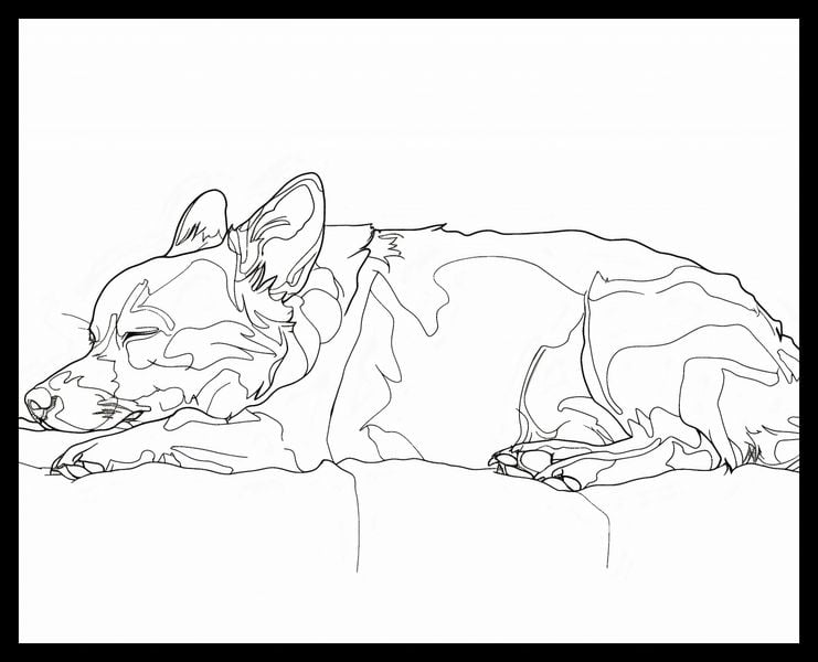 Plakat 50x40cm Śpiący Psiak zdjęcie 2