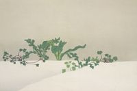 Plakat 60x40cm Green Plants, Sekka Japoński Vintage do Salonu