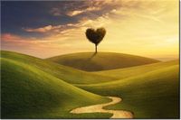 product-compare-58710220