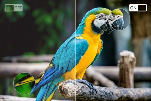 Telewizor 32'' Kruger&Matz HD Smart TV DVBT-T2 na Arena.pl