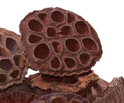 Lotos x2 na Arena.pl