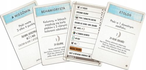 Na skrzydłach: Ptaki Europy na Arena.pl