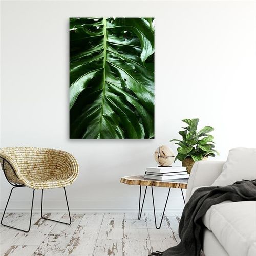 OBRAZ NA PŁÓTNIE Liść Monstery Natura 40x60 na Arena.pl