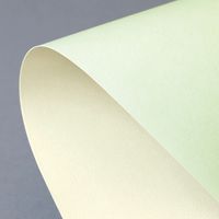 Karton Ozdobny Prime Zielono-Kremowy 220G/M2 (20)