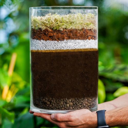 Specjalistyczne Podłoże Ziemia Do DZBANECZNIKÓW Mix PREMIUM na Arena.pl