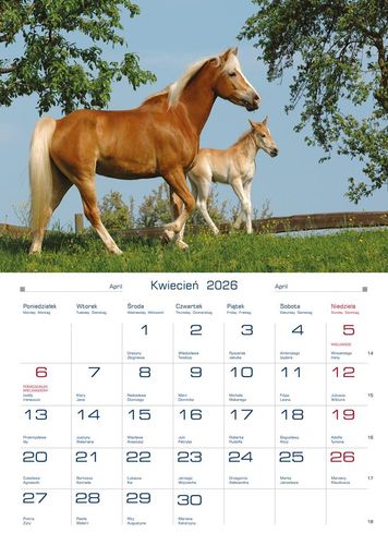 KALENDARZ DOMOWY 2026 TW-10-6 KONIE na Arena.pl