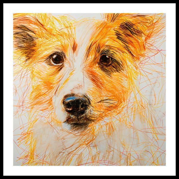 Plakat 70x70cm Uroczy Gość zdjęcie 3