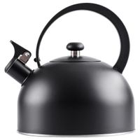Czajnik z gwizdkiem stalowy czarny 3 l