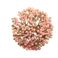 Czosnek wyrobowy różowy 12 szt