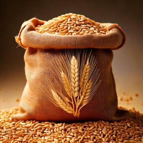 Słód wiedeński Viking Malt (7-12 EBC) 1kg na Arena.pl
