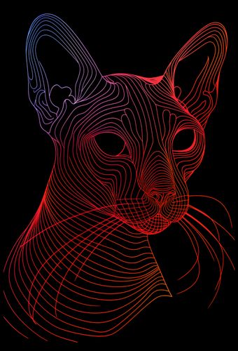 Plakat 68x101cm Cyfrowa Kocica na Arena.pl