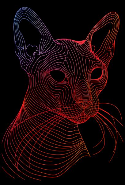 Plakat 68x101cm Cyfrowa Kocica zdjęcie 2