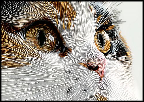 Plakat 100x70cm Nitkowany Kot na Arena.pl