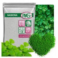MIKROKONICZYNA NASIONA KONICZYNA DROBNOLISTNA NA TRAWNIK 500g OTOCZKOWANA