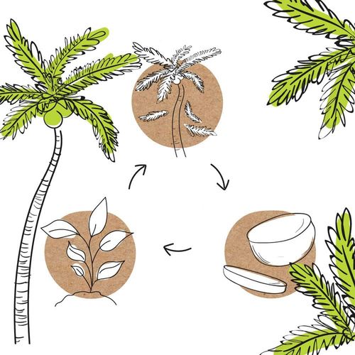 Talerze jednorazowe biodegradowalne z liści palmowych BIOZOYG 15cm 125zt. na Arena.pl