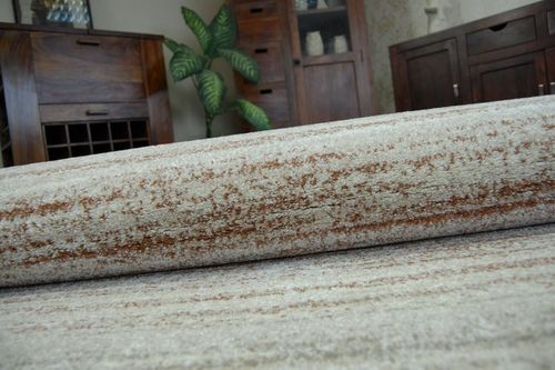 Dywan SHADOW 8622 rust / cream  280x370 cm na Arena.pl