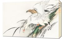 Obraz 60x40cm Albatross, Kashu Japoński Vintage do Salonu