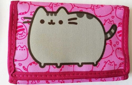 GRUBY KOTEK Saszetka Nerka + Portfel Różowy Na Prezent na Arena.pl