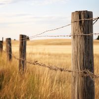 Plakat 20x20cm Płot na Polu