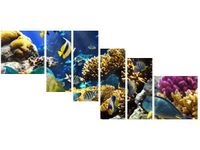 100CM 220CM OBRAZ 6 ELEM RAFA KORALOWA ŚCIENNY