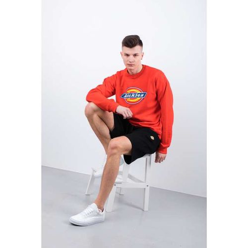 Dickies HARRISON r.S na Arena.pl