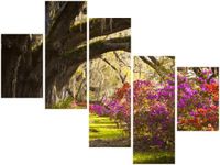 product-compare-58707706