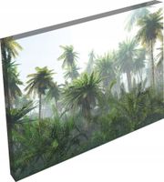 product-compare-62145804