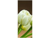 40X100CM BIAŁE TULIPANY OBRAZ PION